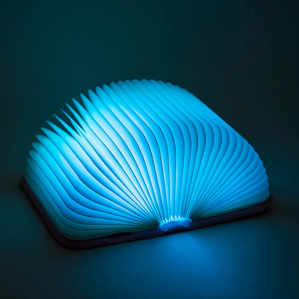Folding LED Book Light with Colorful Rechargeable Design
